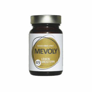 LEBEN MEISTERN