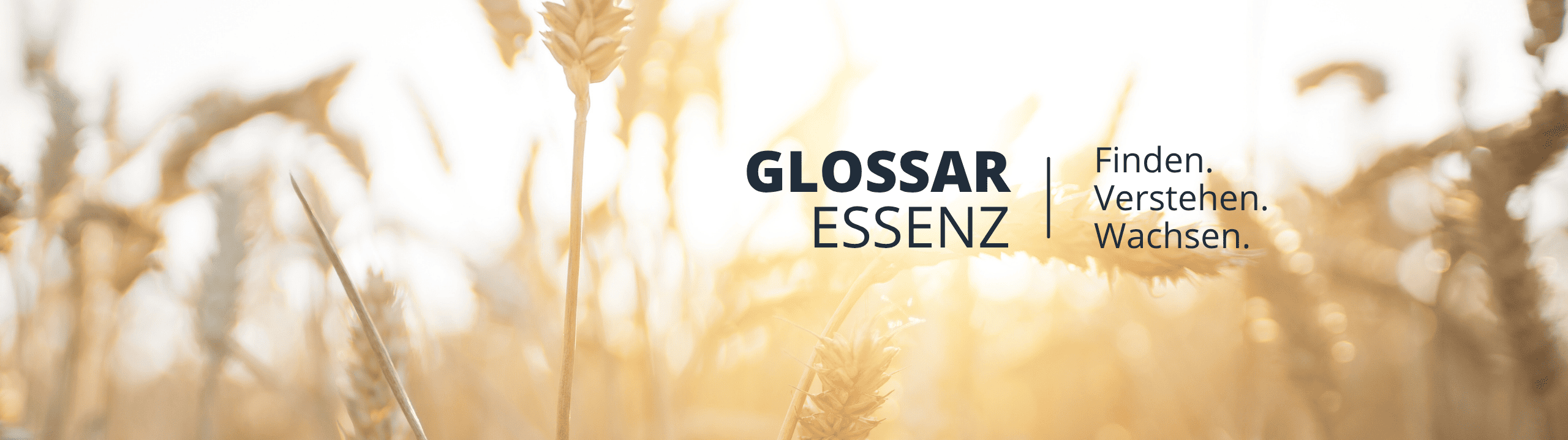 GLOSSAR ESSENZ